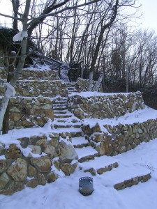 Uphill to the forest